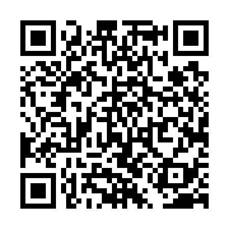 QR code for TUD739