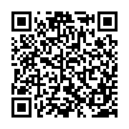 QR code for TZS306