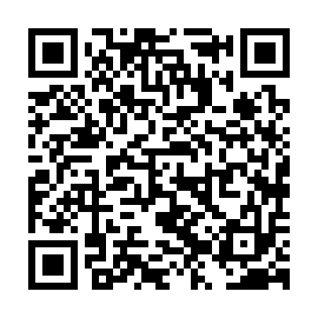 QR code for TZX313