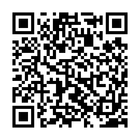 QR code for TZY613