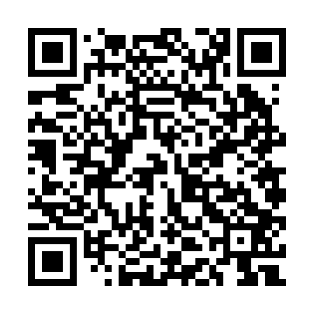 QR code for UDF203