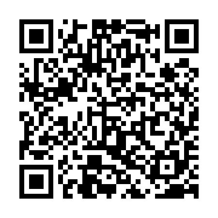 QR code for UDG595