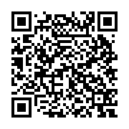 QR code for UDJ236