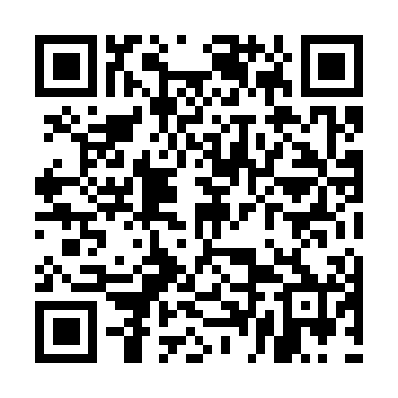 QR code for UDL300