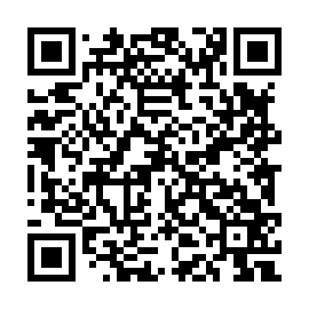 QR code for UDL863