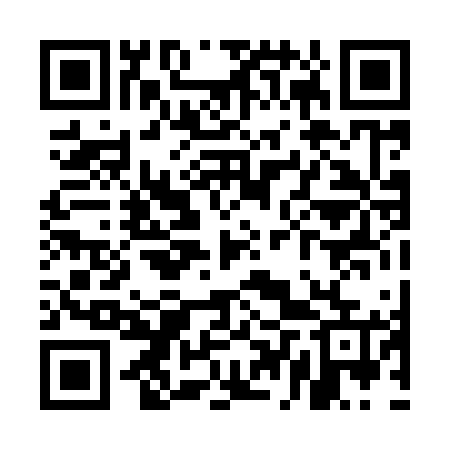 QR code for UDP965