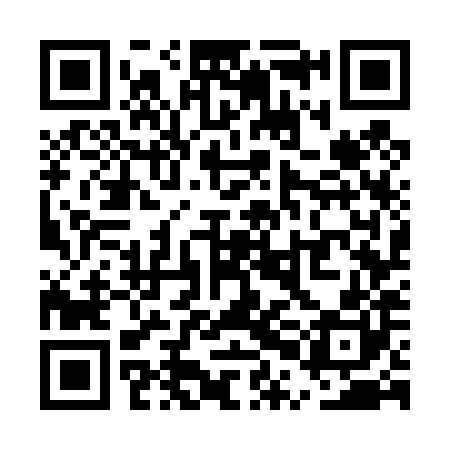 QR code for UPG480