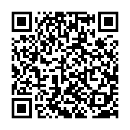 QR code for VFD999