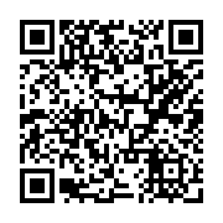 QR code for VFS919