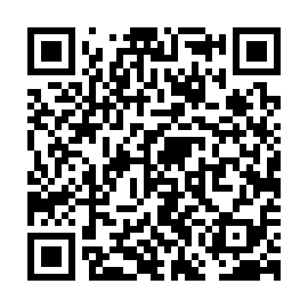 QR code for VGD319