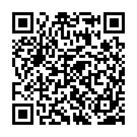 QR code for VGI317