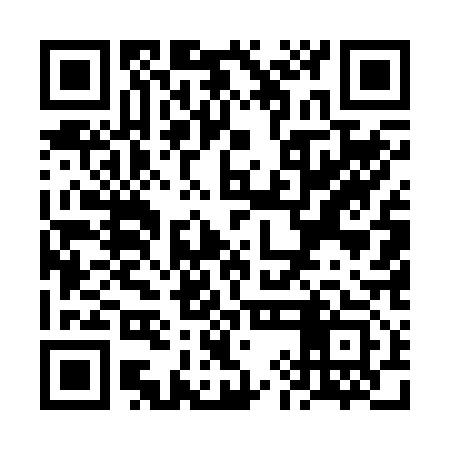 QR code for VIE213