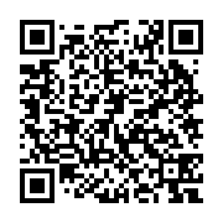 QR code for VIZ238