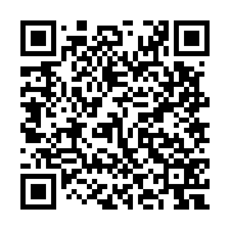 QR code for VIZ576