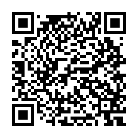 QR code for VJS383