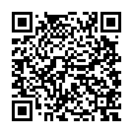 QR code for VJV008