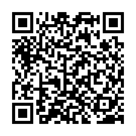 QR code for VNE328