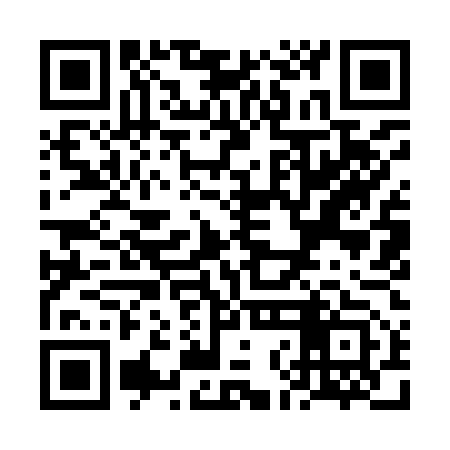 QR code for VNI953