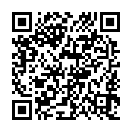 QR code for VPN393