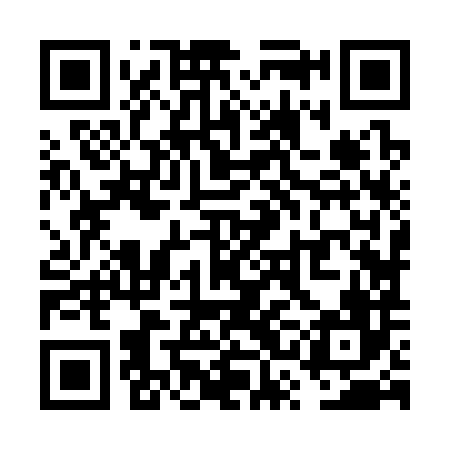 QR code for VSJ386