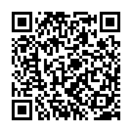 QR code for VSR368