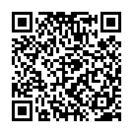 QR code for VSU495