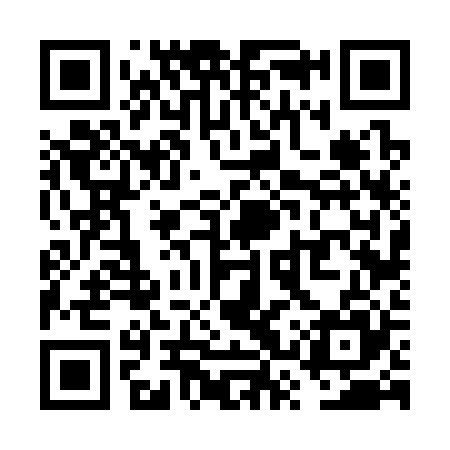 QR code for VSV325