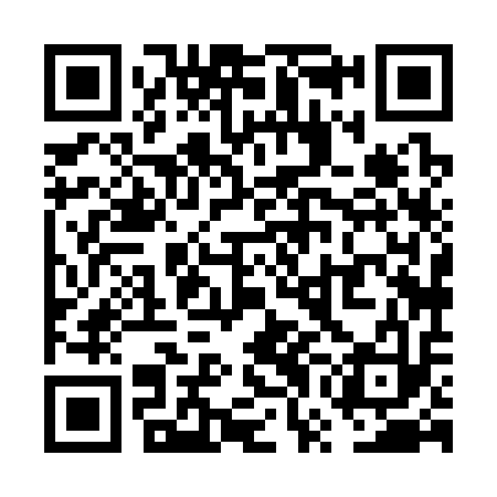 QR code for VWH313