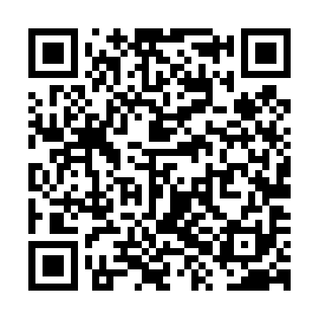 QR code for VXL491