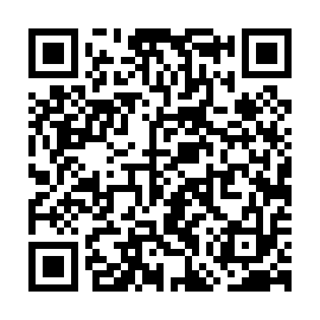 QR code for WGT013