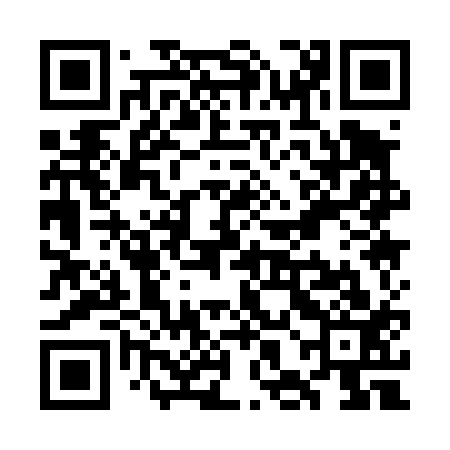QR code for WHA413