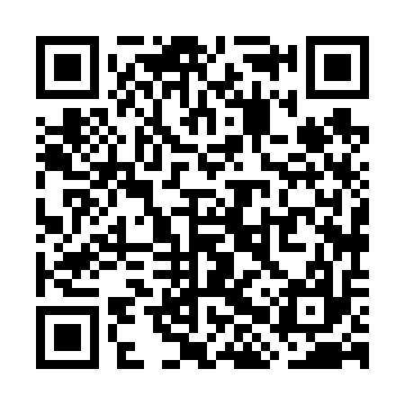 QR code for WHX617