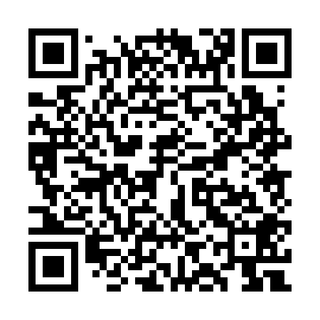 QR code for WIP308