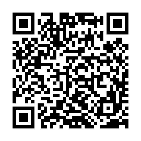 QR code for WIR496