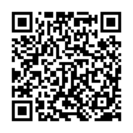 QR code for WKZ295