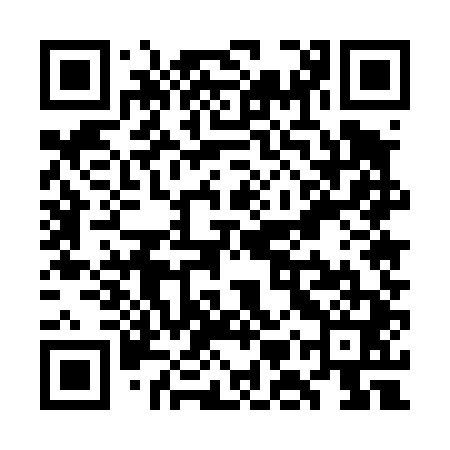 QR code for WMU441
