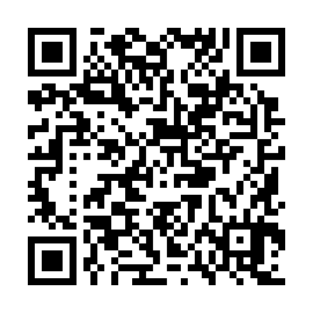 QR code for WPI384