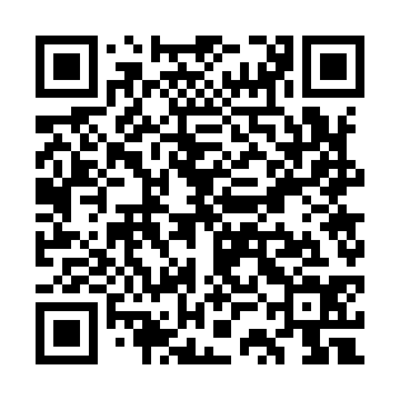 QR code for WSG934