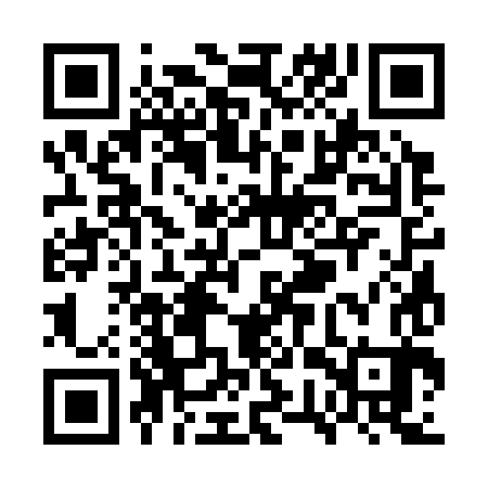 QR code for WWS383