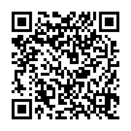 QR code for WYJ234