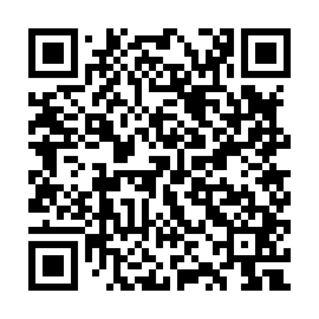QR code for WZG841