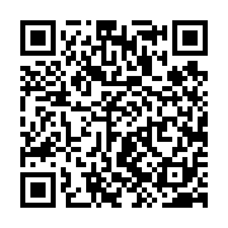 QR code for WZT611