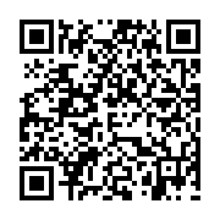 QR code for WZU334