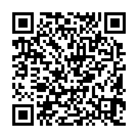 QR code for XAM381