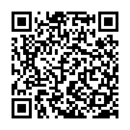 QR code for XDE249