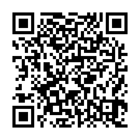 QR code for XDZ163