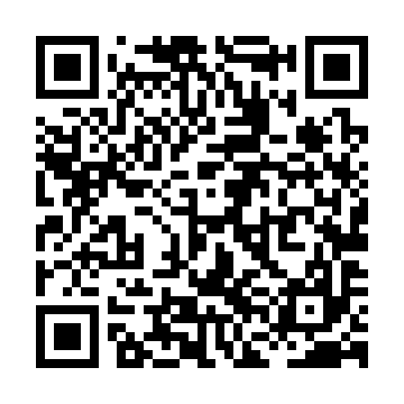 QR code for XFL397
