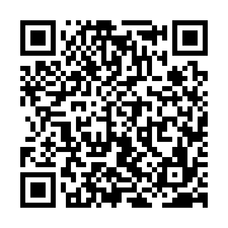 QR code for XFV336