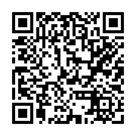 QR code for XGL393