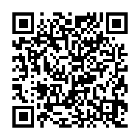 QR code for XGS533